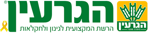 הגרעין